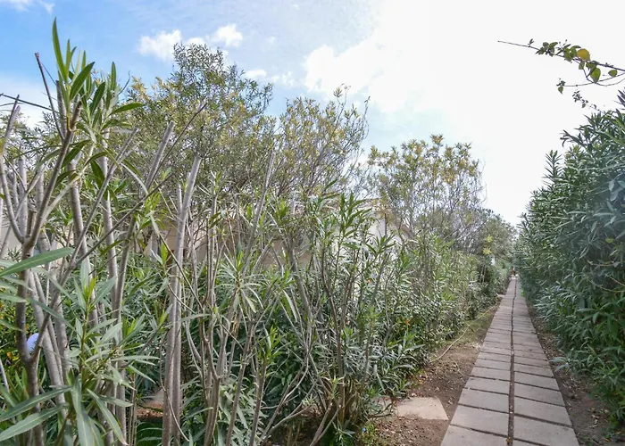 Appartement Bilocale