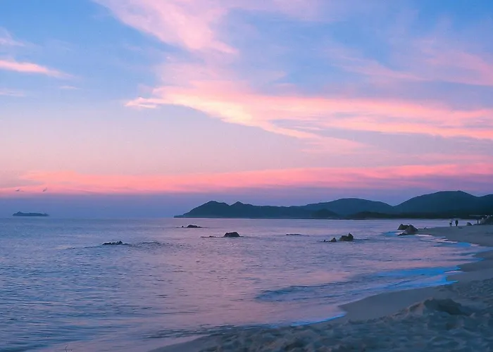 Appartement Bilocale