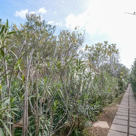 Апартаменты Bilocale